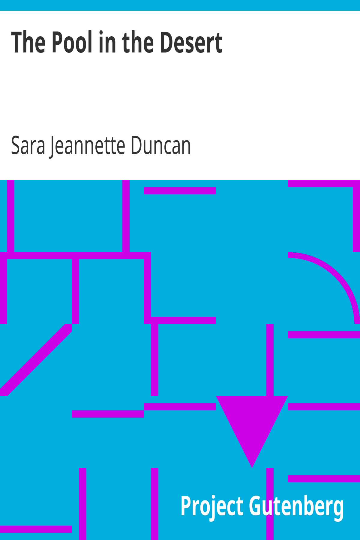 Book cover for The Pool in the Desert