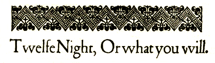 Book cover for Twelfth Night; Or, What You Will