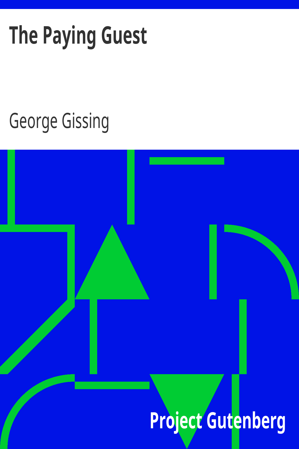 Book cover for The Paying Guest
