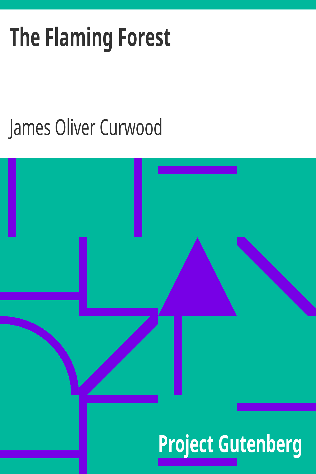 Book cover for The Flaming Forest